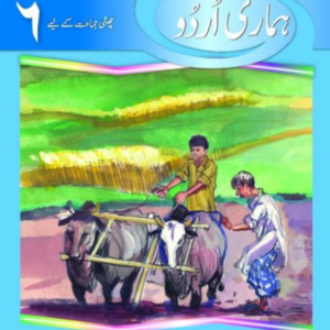 Hamari Urdu Book 6